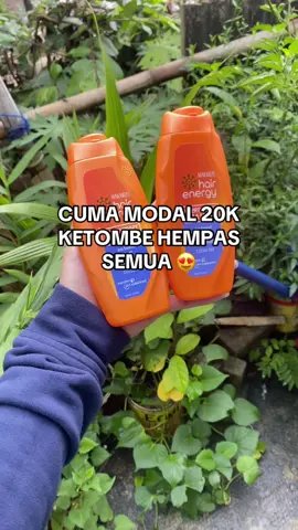 sebel bgt kan klo kepala udh datal karna ketombe? #shampoantiketombe #makarizo 