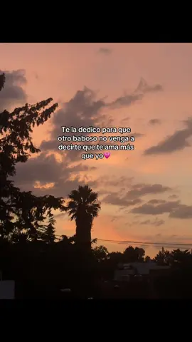 🫶🏼 #cuco #amor #dedicar #frases #viral #likе #canciones #pareja #pinchitiktokponmeenparati #foryoupage #paratiiiiiiiiiiiiiiiiiiiiiiiiiiiiiii 