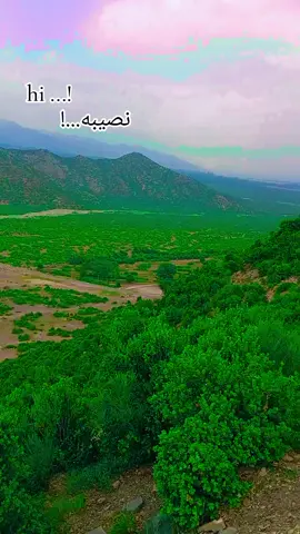 hi ...! نصیبه...!#پشتون_تاجیک_هزاره_ازبک_زنده_باد🇦🇫 #پشتون_تاجیک_هزاره_ازبک_زنده_باد🇦🇫 #پشتون_تاجیک_هزاره_ازبک_زنده_باد🇦🇫 