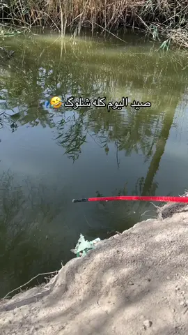 #صيد #صيد_السمك #fishing #سمك 
