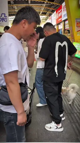 #DogVoicePrank   #FunnyMarketReaction   #StreetPrankVibes   #UnexpectedLOL   #VoiceoverTroll   #MarketComedy   #RealPrankMoments   #talkingdog 