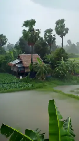 ខែភ្លៀងធ្លាក់#ទេសភាពស្រុកស្រែ🌄🏜️🌱🌼🌾🐟 #នឹកអតីតកាល #នឹកស្រុកកំណេីត🌾🥰🥺 #ស្រុកស្រែ #fyp #foryou #ai #នឹកផ្ទះ 