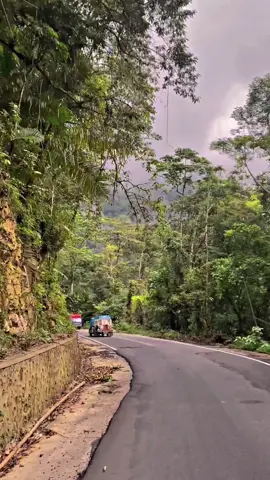 Vibesssnya enak…#kayulangi #sulteng #fypage #beranda 
