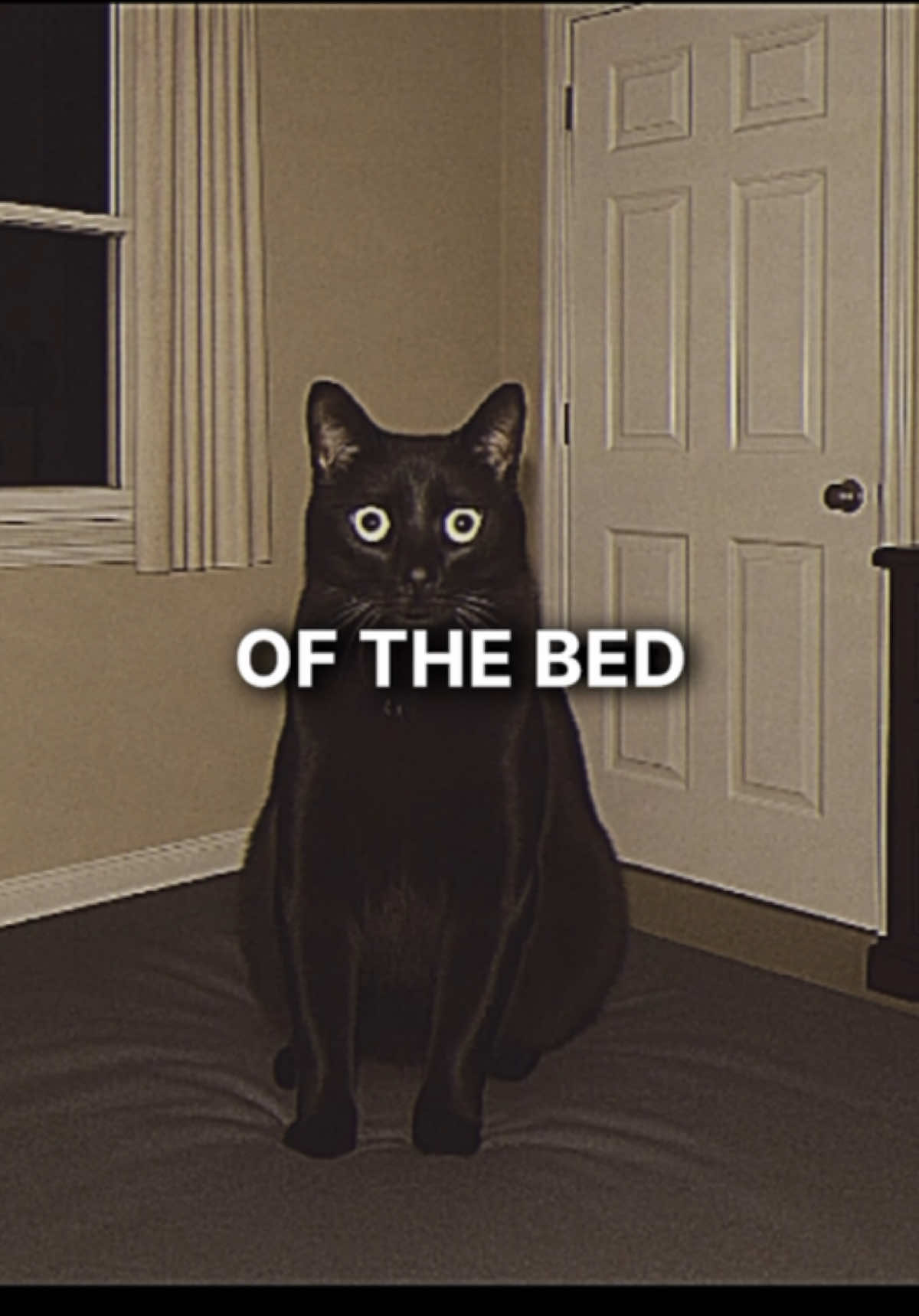 Never Be Alone With Your Cat | #liminalspaces #analoghorror #dreamcore #creepypasta #weirdcore 