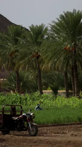 كانوا يقولون القادم اجمل بل اقول القديم يبقى اجمل 🥹🤍