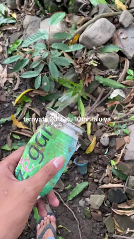 Teh terenak pada masanya #fyp #foryoupage #pelitfyp #tehzegar #kenangan #sekalifyp 