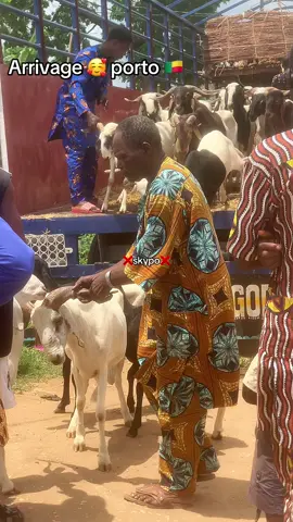 Mouton Eid tabaski 2025🥰🇧🇯
