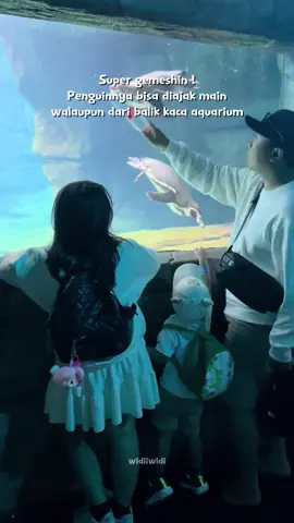 Ternyata mereka bisa diajak berinteraksi walaupun hanya dari balik kaca 😍🥰🐧✨ #penguin #pinguin #aquariumbali #marinesafaribali #aquarium #aquariumindonesia #bali #trend #aquariumdate #fypシ #familytime #viral #explorebali #parenting #indonesia #baliindonesia 