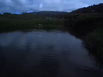 Whered everyone go || #lake #nature #digicam #film #cinematography #rev0839 