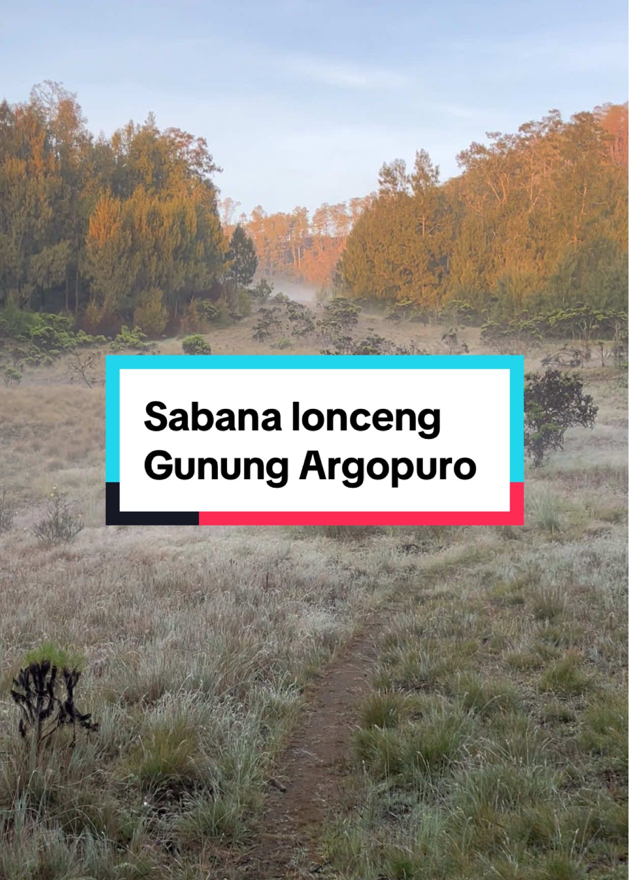 Sabana yang tidak seviral sabana lain nya, sabana lonceng Gunung Argopuro dengan segala keindahannya #sabana #sabanalonceng #argopuro #argopuromountain #gunungargopuro #gunungargopuro3088mdpl 