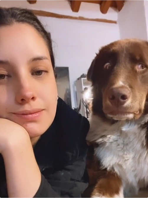 Kissing your dog to see how the dog reacts#dog#funny#funnyanimals#funnypets#animals #dogsofttiktok #pet #foryou #longervideos#dog #cute #pet #kiss#viral #funnyvideos 