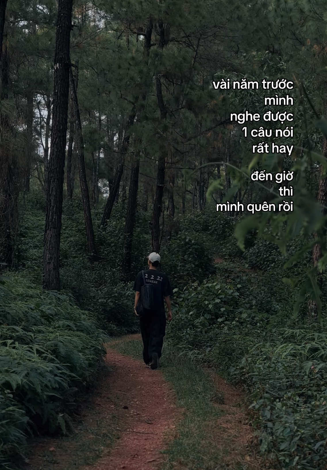 sau ngầy ấy năm 🍂