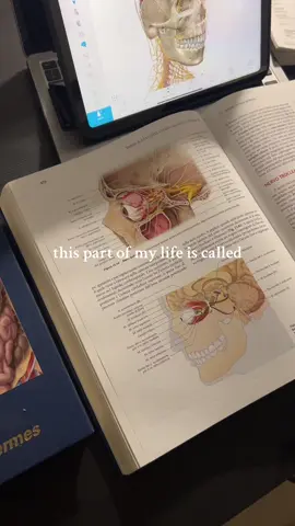 #sessione #medstudent #med #anatomy #fyp 