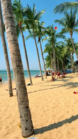 Jomtien Beach #tiktokthailand #tiktokthailand🇹🇭 #bangkokthailand #تايلند #pattaya #تايلند🇹🇭 #pattayabeach #fyp #pattayanightlife #jomtien #pattayacity 