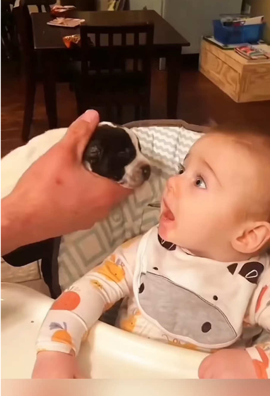 Growing up together ❤️#dog #baby #pet #Love #lovestory #cute #bestfriend #dogsoftiktok #foryou #usa🇺🇸 