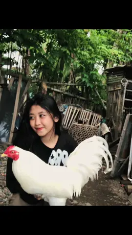 #fyppppppppppppppppppppppp #ayamthailand 