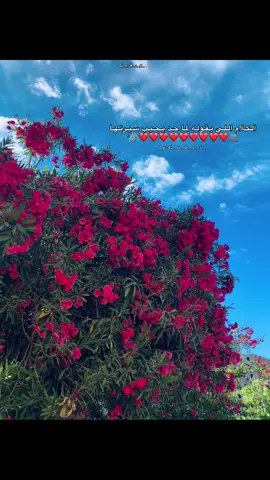 #fyp #foryou #foryoupage #fypppppppppppppppppppppp #story #رومانسي 