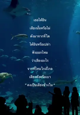 จังหวะจะรัก #เธรดเพลง #รับโปรโมทเพลง #เธรดความรู้สึก #fypシ #ฟีดดดシ #ยืมลงสตอรี่ได้ 