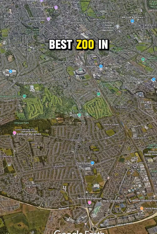 Which is the best zoo in the UK?👀 #unitedkingdom #england #zoo #endiburgh #whipsnadezoo #londonzoo #geography #googleearth 