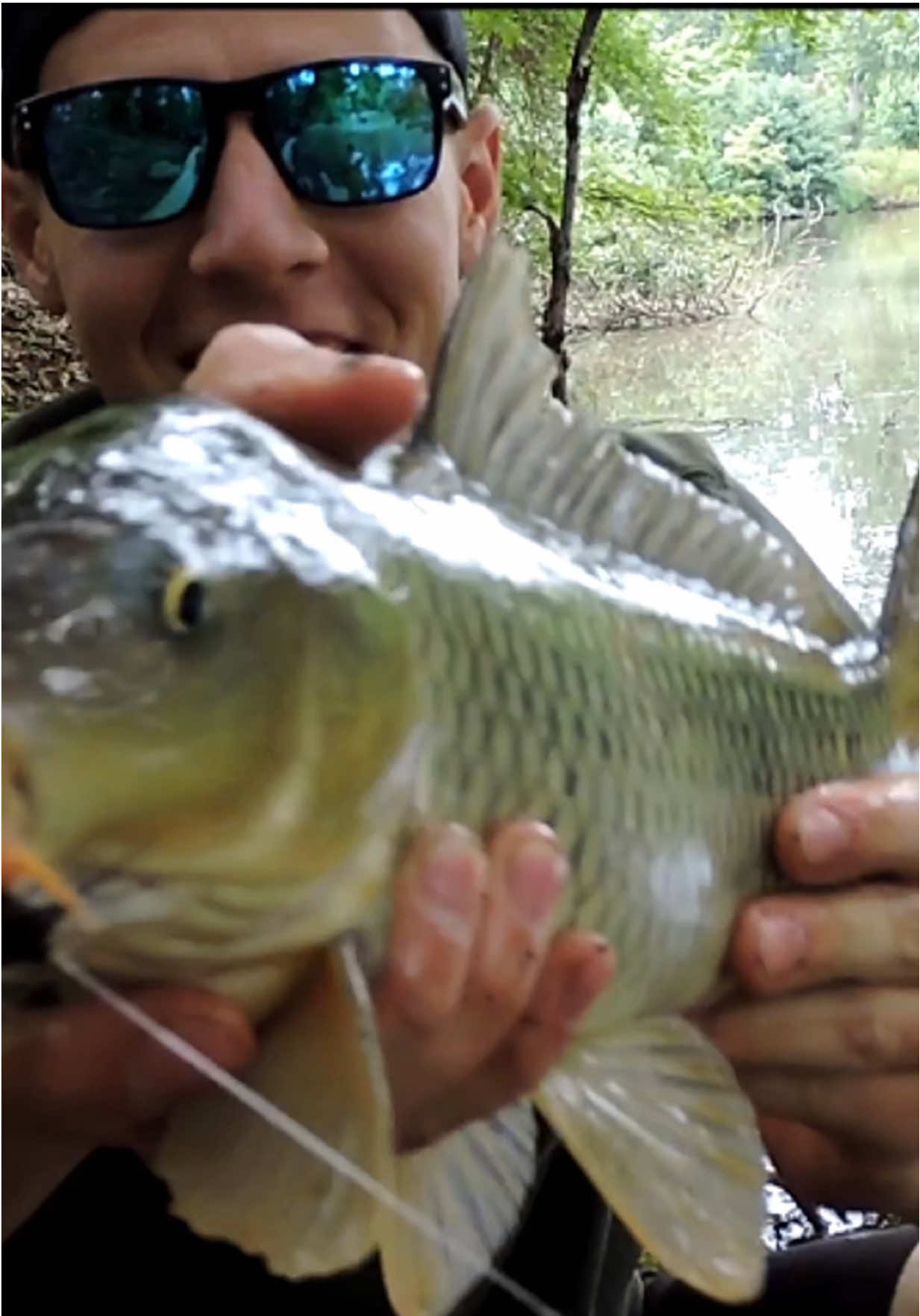 Carp Chaos #fishing #fish #carp #nj #bankfishing #chaos 