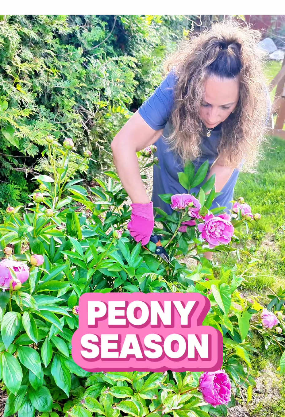 Soft girl life in full bloom 🌸✨ Peony season has my heart. Gardening, fresh flowers, and finding beauty in the little things—especially after 40. #PeonySeason #SoftGirlAesthetic #LifeAfter40 #FlowerTherapy #GardenVibes #FeminineEnergy #PeoniesInBloom #SlowLiving #Over40Lifestyle #FloralMoments   #CapCut 