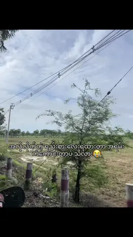 ချစ်စရာကြီးကွ#flypシーly❤❤❤tiktokviral_viraltiktokvidio #viewတွေရှယ်ကျ #ဒီချိန်တင်ရင်viwerမတတ်မှန်းသိတယ်🙂 