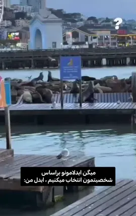 خیلی نرمالن استری کیدز🤝 #فلیکس #straykids  #استری_کیدز  #فوریو_بری_نری_به_چپمه  #فوریو_پاشم_بیام_جرت_بدم؟  #فوریو_نظری_به_حال_ما_کن  #کیپاپ  #طنز #یونگبوک