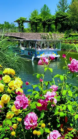 #美しい花景色  浜松ガーデンバーク#Japanese  scenery 