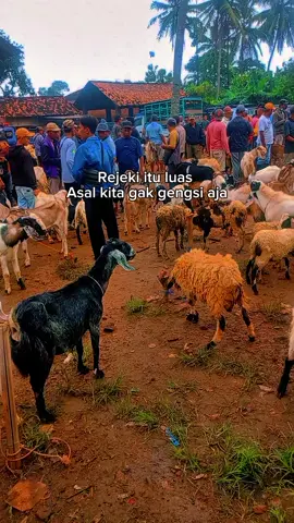 kalo udah senyum insyaallah dapat untung berkah