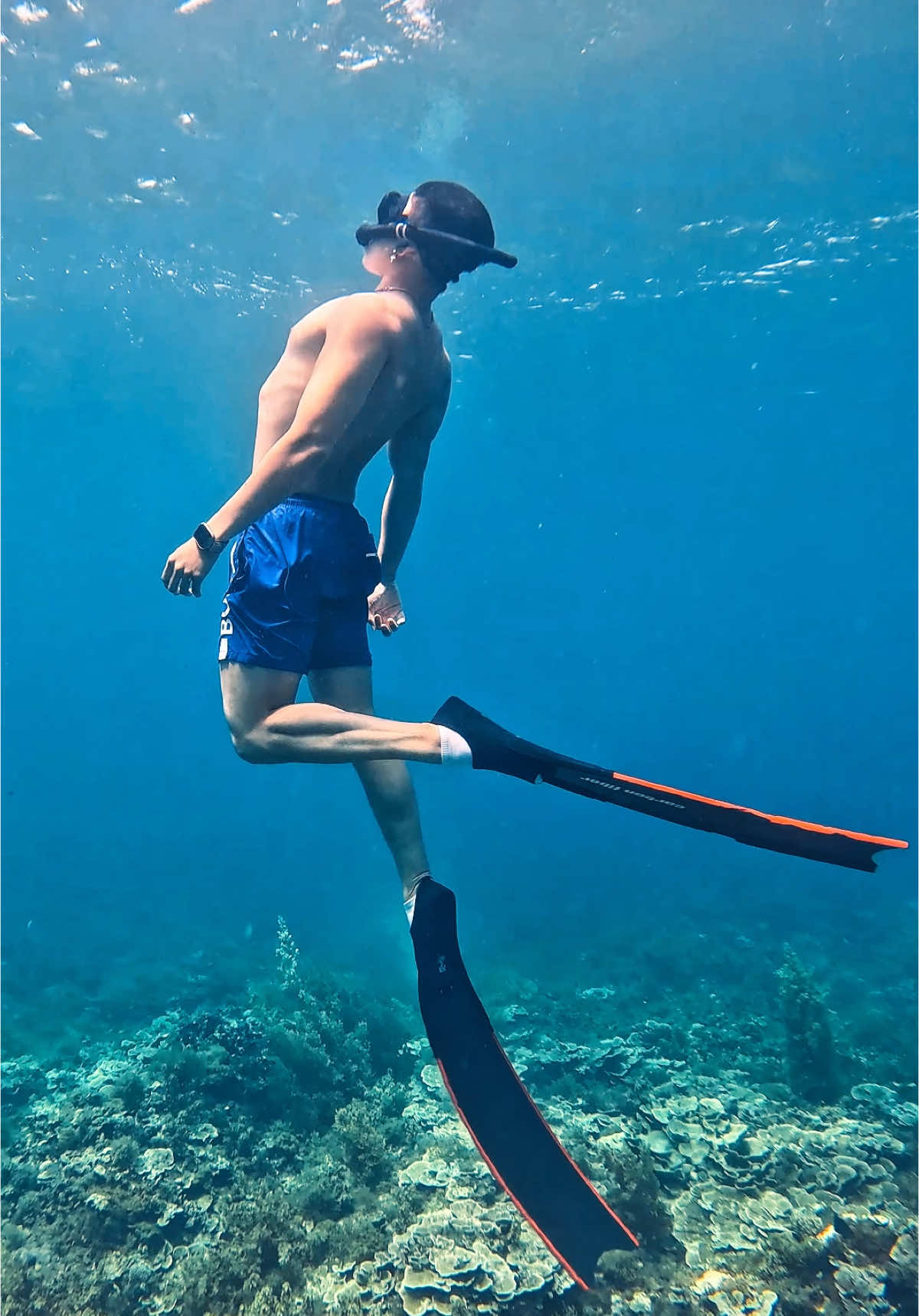 Khách nam lặn vậy mấy bạn nữ có mê k #freediving#lantudo#reviewphuquy#xuhuong#phuquyisland#blueocean