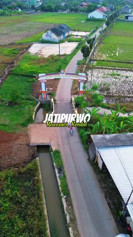 Membalas @nzleaaa_ Desa Jatipurwo, Rowosari , Kendal  Requestan dari sedulur Kendal  Yang requesannya belum di turuti sabar ya😀 #Kendal #Rowosari #drone #dronevideo