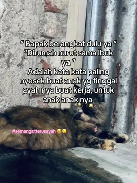 #fyp #fypforyou #masukberanda #katakata #galaubrutal #fypppppppppp 
