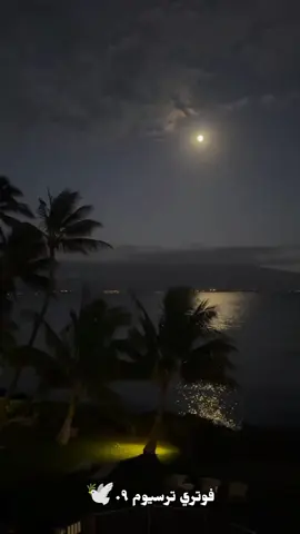 بسم الله الرحمن الر حيم  السلام عليكم ورحمة الله وبركته  hadir kembali untuk anda sahabat seimanku dan saudara kesayanganku  #maribersholawat  #اللهم صلي علي سيدنا محمد❤ #وعلى_ال_سيدنا_محمد💚 #sayaniatsebarkankebaikan #karena #allahswt☝ #insyaallah #tetapsemangat💪💪 #selamatmalam #dan #tetapsemangat💪💪 #capcut #fyp 