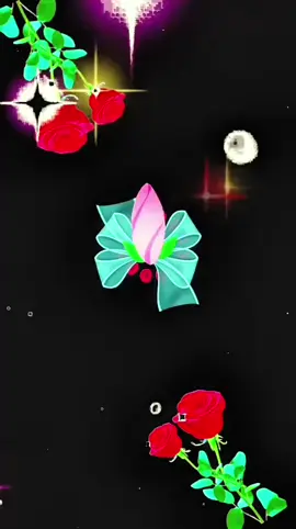 #🌹🌹🌹🌹🌹 #