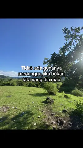 #fyp #bugispride🏝️🔥 #storywa #storysulawesi #masukberanda #katakata #katakatasulawesi #quotestory 