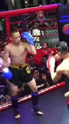 MAHIR KAN DI PUNCHING BAG DAN PADDING. NAK BELI PUNCHING BAG TEKAN BEG KUNING. SIAP ISI HABUK KAYU. #fyppppppppppppppppppppppp #fyp #flyingknee #pejuangbangsa #muaythai #ultimatebeatdown 