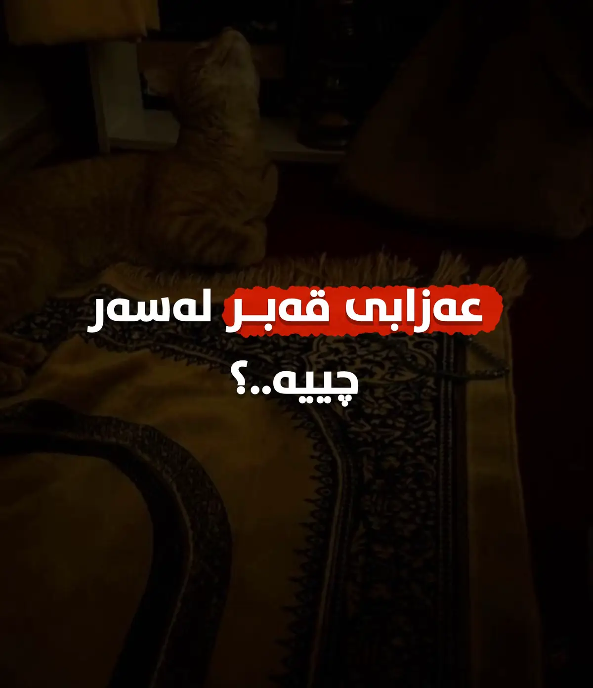 #بسم_الله_الرحمن_الرحيم #لااله_الا_اللە #الله #الله_اكبر #لاحول_ولا_قوة_الا_بالله #سبحان_الله_وبحمده #explore #foryou #fybシ #tiktok #foryoupage #1millionaudition #fyp 