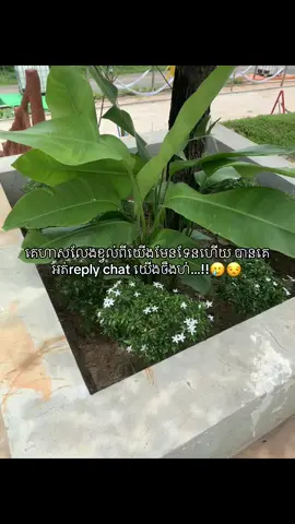 អន់ចិត្ត🤧#fypシ゚ #tanbskeyy42 #foryou #fyppppppppppppppppppppppp #ចង់ល្បីដូចប្រូដែរ😹🤣🤣🤣🤣។ 
