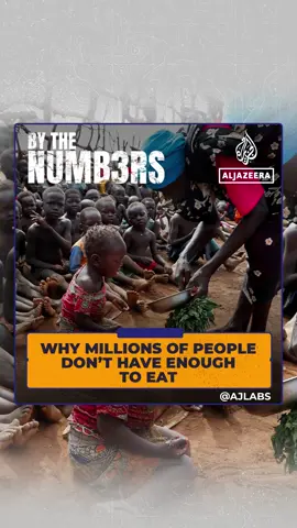 On World Hunger Day, AJLabs examines how war, weather and wealth gaps drive starvation.