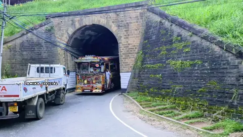 කොහොමද චීස් කැල්ල🥰🩷ඇල්ල බින්ගියෙ ඉදම්🩷 #දුඹුරුළමිස්සි #duburulamissi #bus #ella #ඇල්ල #bus2025 #badulla #demodararailwaystation #viral #modifications #modified #busses #srilanka #kubalwela #කුඹල්වෙල #trending #dj #song #sinhalasongs 