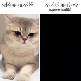 ဟဲဟဲ😁