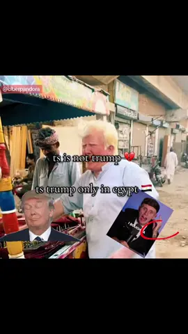 only in egypt 🤣🤣 #funny #brainrot #egypt #trump #meme #fyp #ohio 