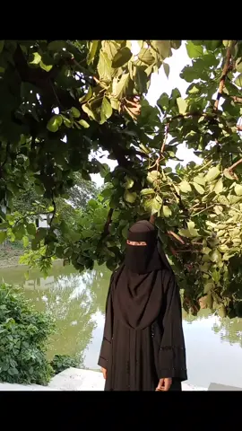 আমাকে তুমি ইচ্ছে করে চিরতরে  হারালে 💔😅#সুহাসিনীツ #🤍🌼🥀 #নক্ষএ