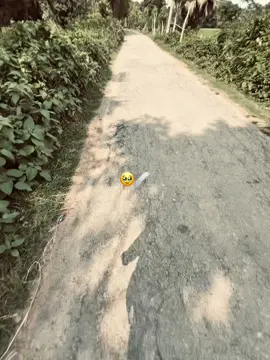 -ভুলে গেছেন...!🥹🩹#tiktokbangladesh🇧🇩 #tiktokbdofficial #fypシ゚ #viral #foryou @-lSMAIL- 