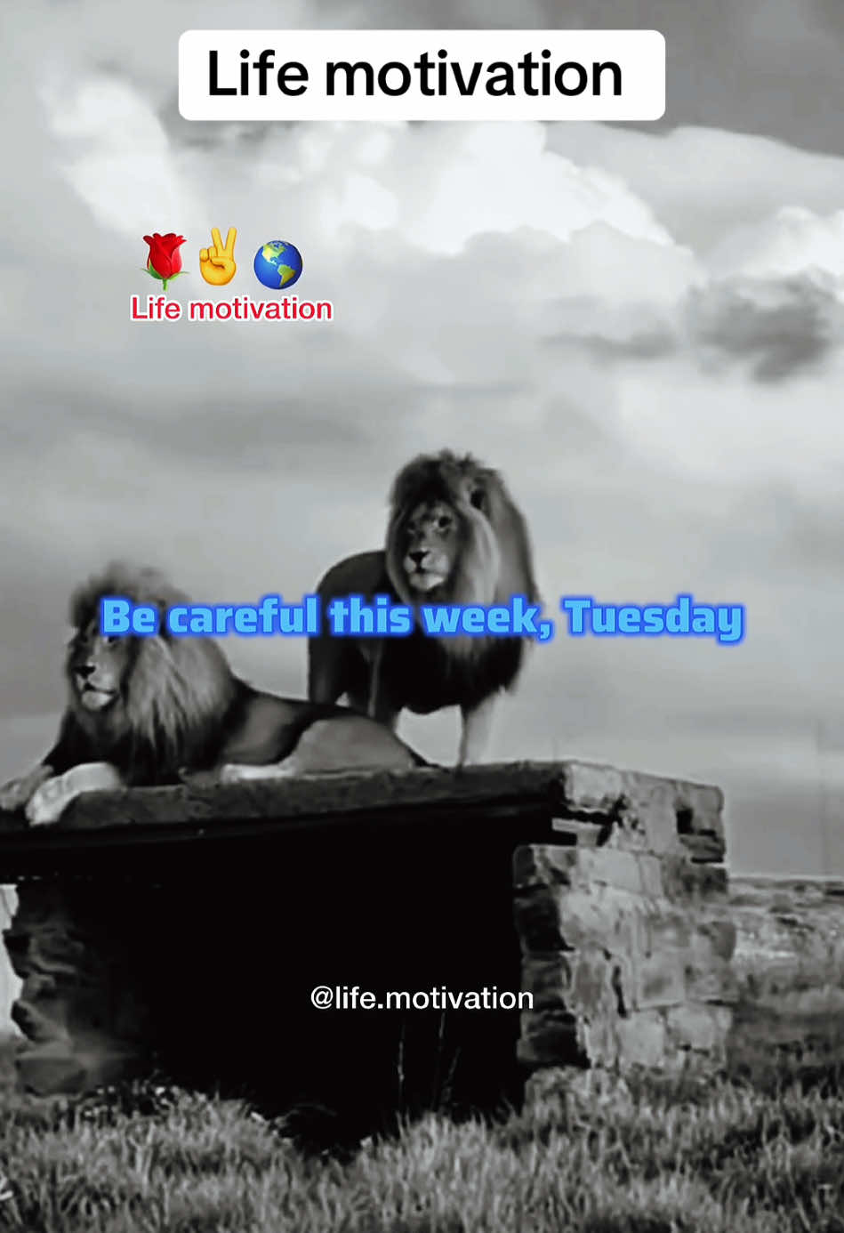 Be careful this week Tuesday #lifemotivation #nelsonmandelamotivation #motivationquotes #motivationalvideo #deepquotes #DailyFire #realtalk #dailymotivation #motivation 
