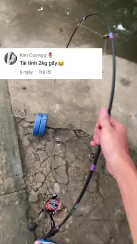 cần câu lure crocodile test 4kg !! #cancaulure #cancaugiare #caucagiaitri #docaugiare 