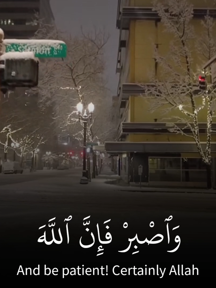 سورة هود الاية ١١٥-١١٩ #اسلام_صبحي #قران #قران_كريم #قرآن #قرآن_كريم #تلاوة #تلاوة_خاشعة #تلاوات #تلاوات_خاشعة #تلاوات_قرآنية #قران_كريم_ارح_سمعك_وقلبك #قرآن_كريم_راحة_نفسية #quran #quranrecitation #quran_alkarim 