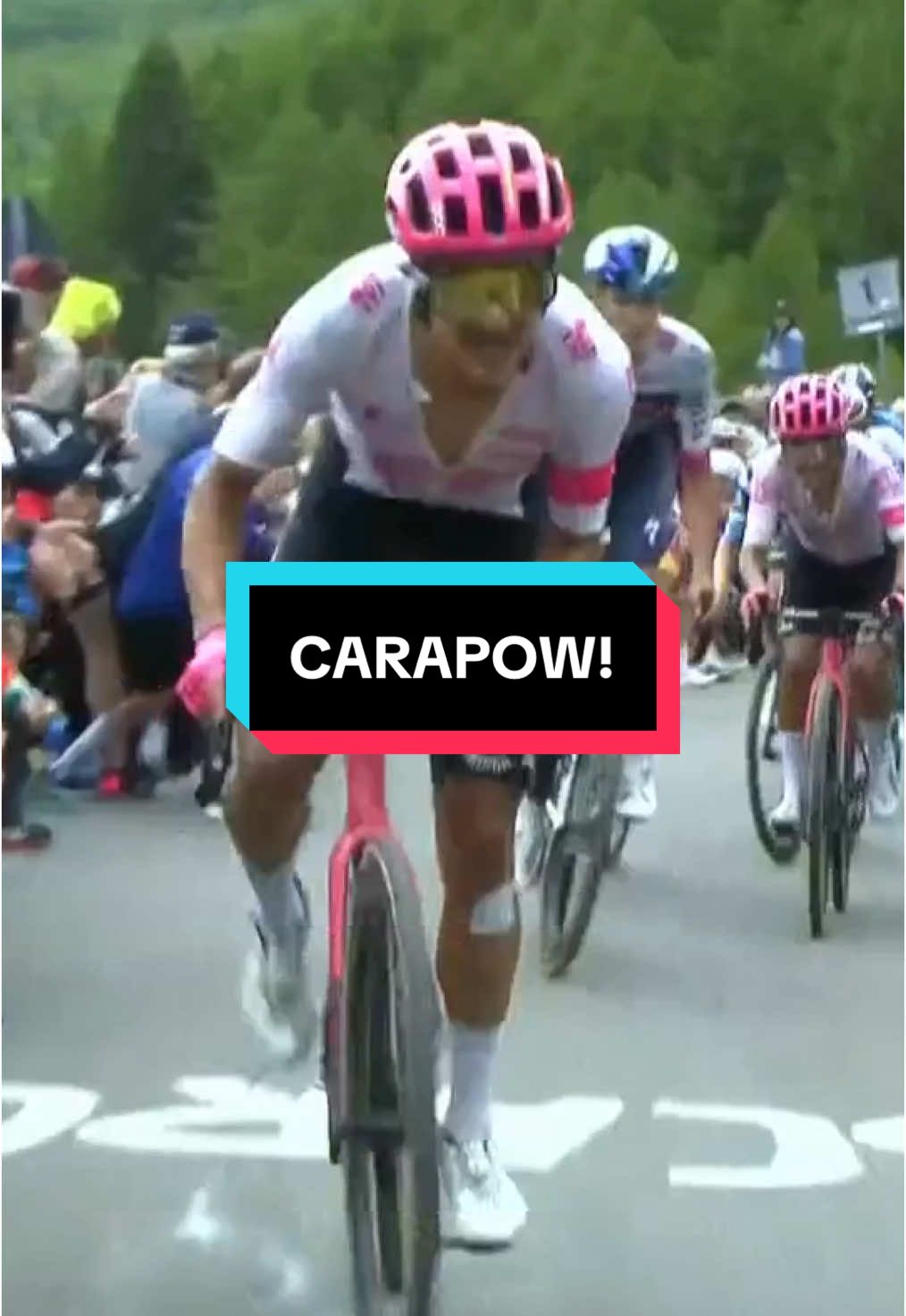 CARAPAZ ATTACKS AND ISAAC DEL TORO IS DROPPED!  Huge GC moves on the Mortirolo 😱 #cycling #roadcycling #giro
