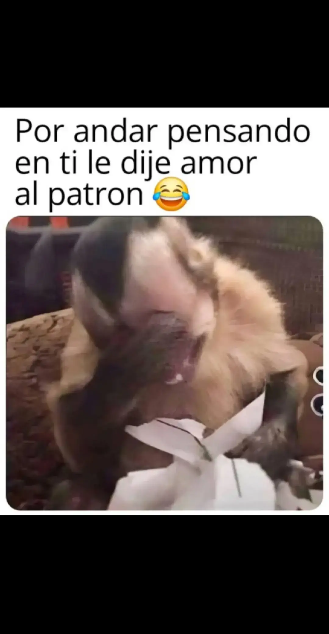 pero. que cosa noo