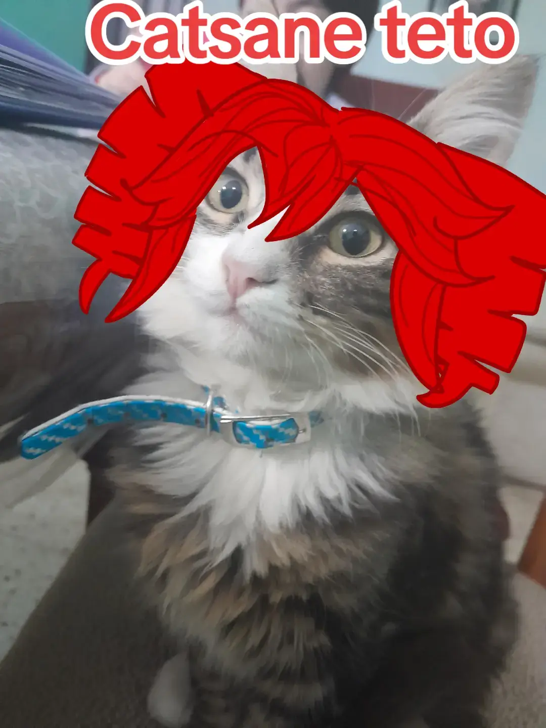 Mis 2 bebés #hatsunemiku #dibujo #gatos #kasaneteto #vocaloid #cat #gatobebe #paratii 